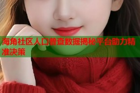 海角社区人口普查数据揭秘平台助力精准决策
