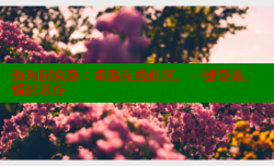 海角回家路：重温在线社区，一键登录，情谊永存