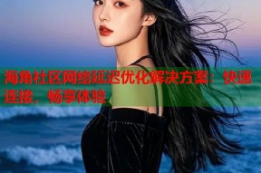 海角社区网络延迟优化解决方案：快速连接，畅享体验