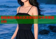 衡阳耒阳海角社区发展现状与未来展望分析