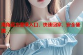 海角官方登录入口，快速回家，安全便捷