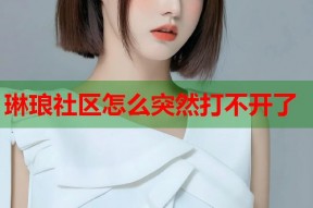 琳琅社区怎么突然打不开了