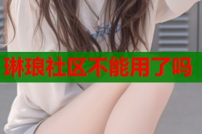 琳琅社区不能用了吗