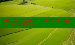海角社区：一键直达华人交流中心，App-论坛多入口等你来