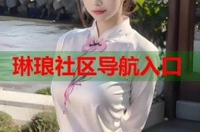 琳琅社区导航入口