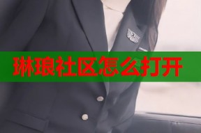 琳琅社区怎么打开