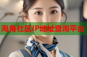 海角社区IP地址查询平台
