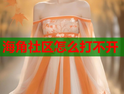 海角社区怎么打不开 第1张 海角社区怎么打不开 第1张