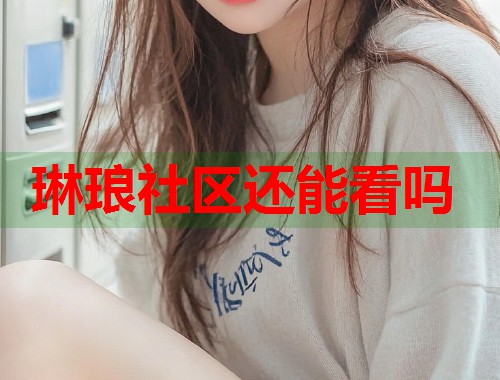 琳琅社区还能看吗 第1张 琳琅社区还能看吗 第1张