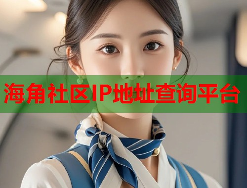 海角社区IP地址查询平台 第1张 海角社区IP地址查询平台 第1张