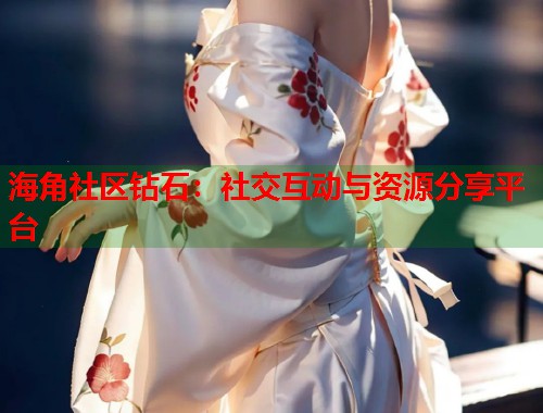 海角社区钻石：社交互动与资源分享平台  第2张
