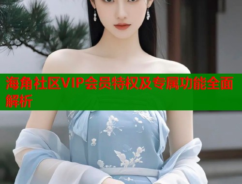 海角社区VIP会员特权及专属功能全面解析 第1张 海角社区VIP会员特权及专属功能全面解析 第1张